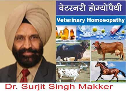 APPLICATION OF HOMEOPATHY MEDICINES IN CATTLE & BUFFALOES REPRODUCTIVE  DISORDERS - Pashudhan praharee