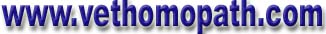Vision graphic
